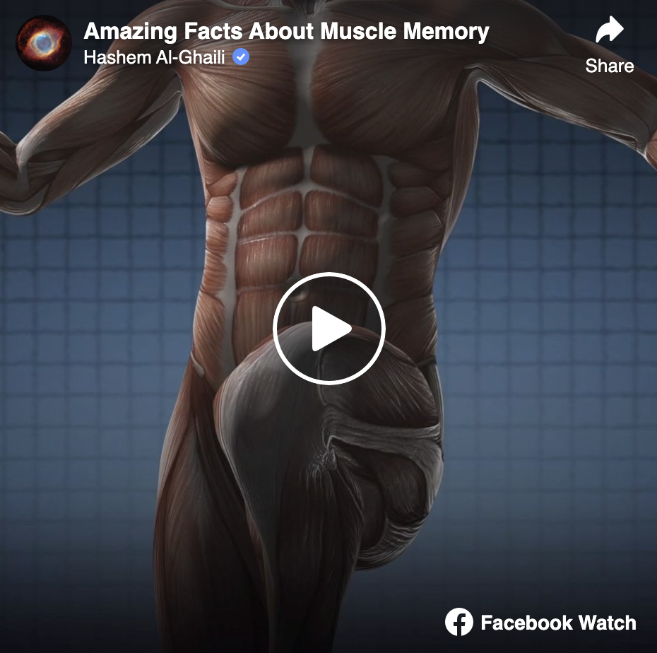 Amazing facts about muscle memory