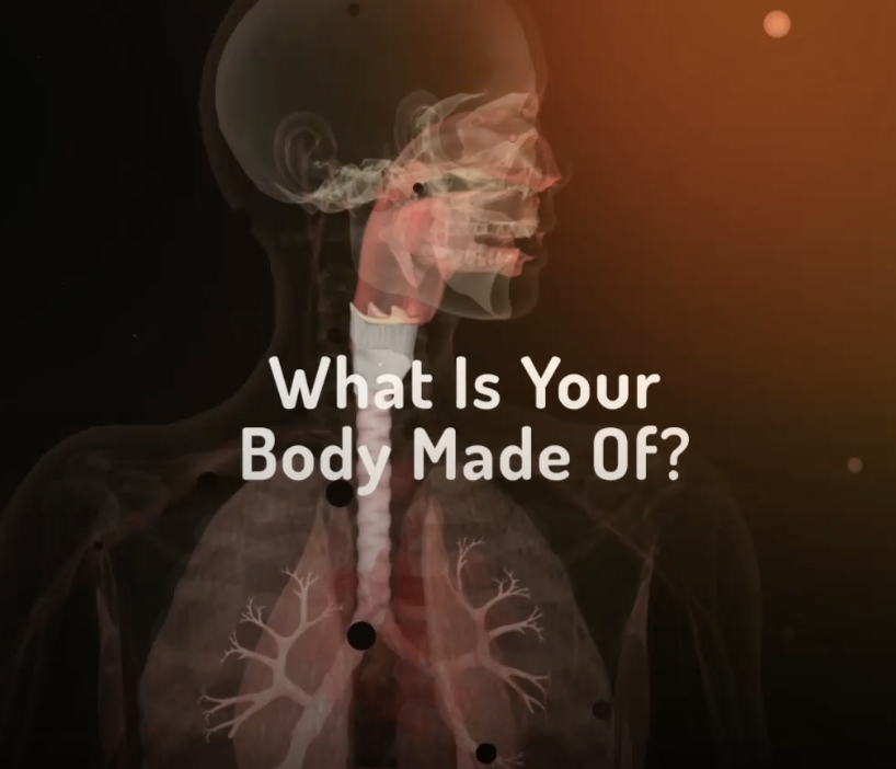 What is your body made of…